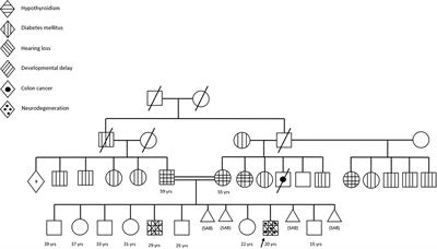 Case Report: Homozygous DNAJC3 Mutation Causes Monogenic Diabetes Mellitus Associated With Pancreatic Atrophy